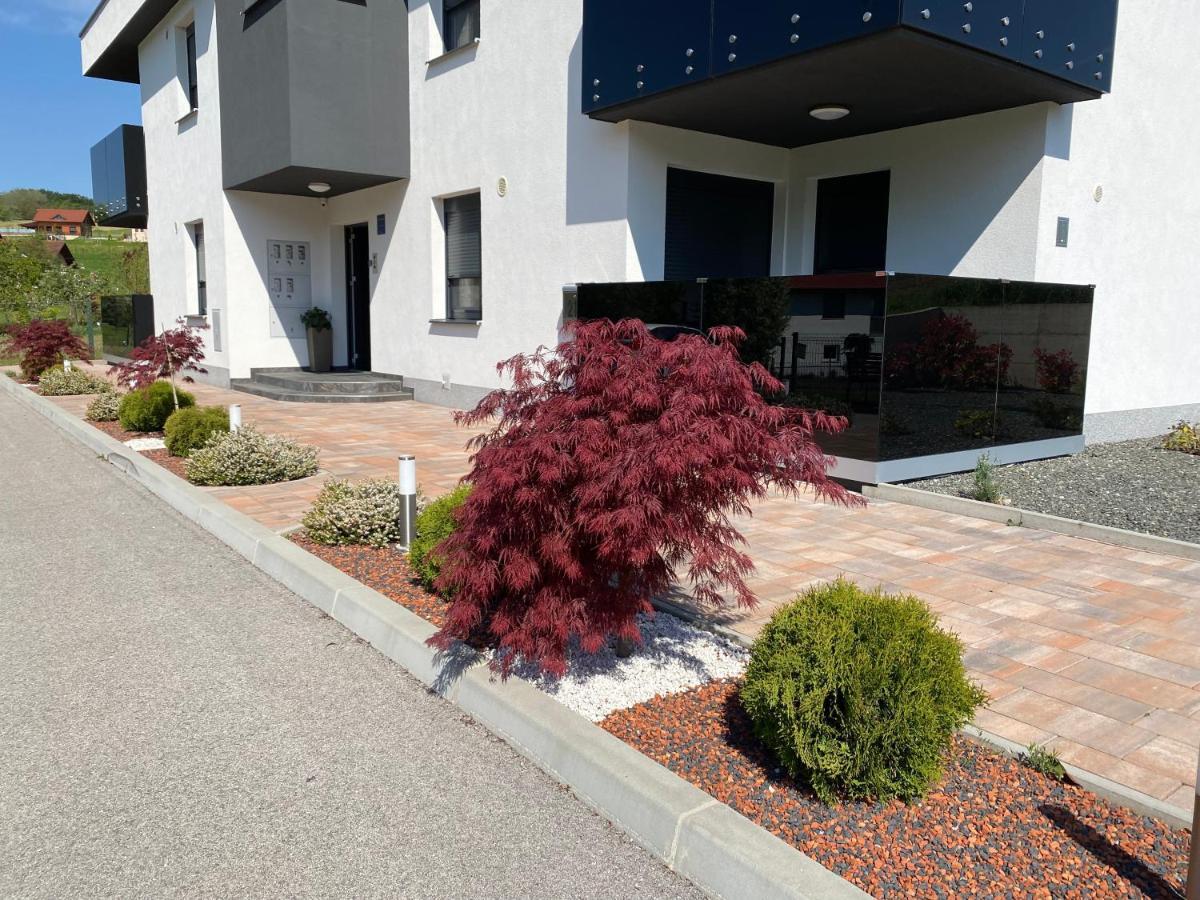 Apartments Dora Sveti Martin Na Muri Esterno foto