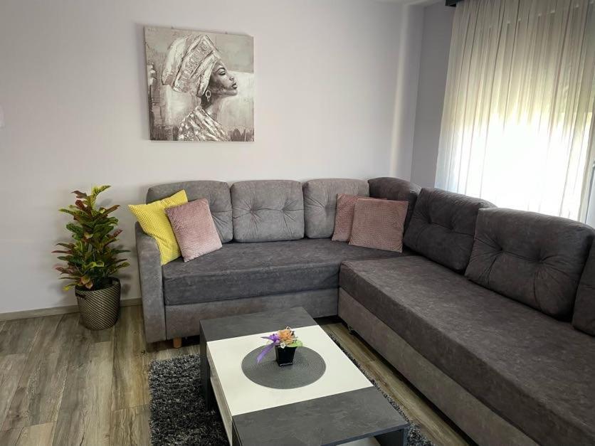 Apartments Dora Sveti Martin Na Muri Esterno foto